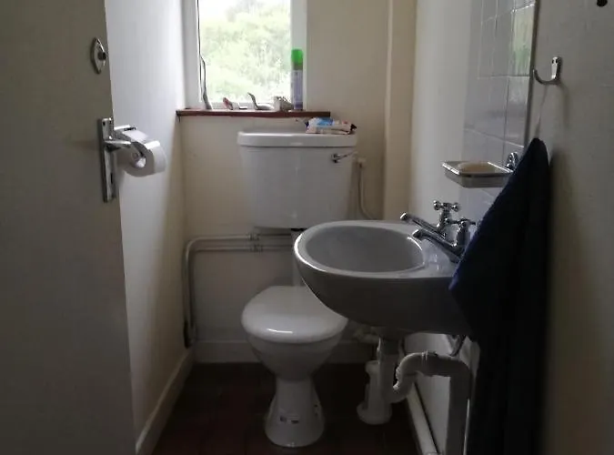 The Black Sheep Glengarriff