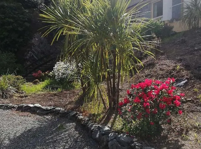 Bed & Breakfast The Black Sheep Glengarriff