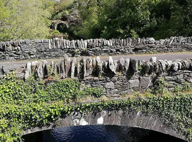 Couette-café The Black Sheep *